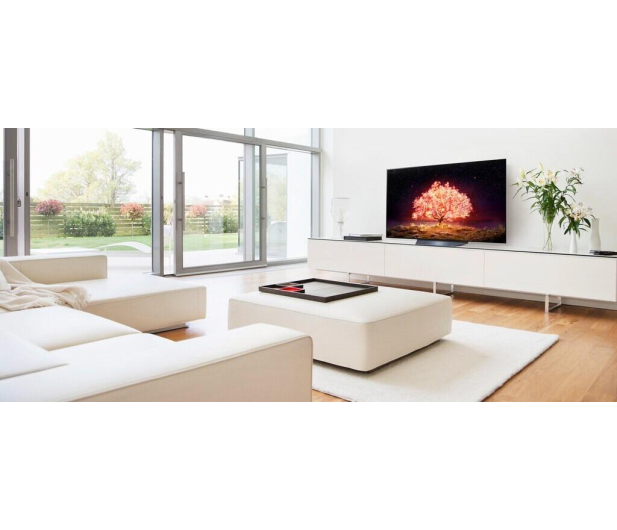 LG OLED55B13LA - 635941 - zdjęcie 11